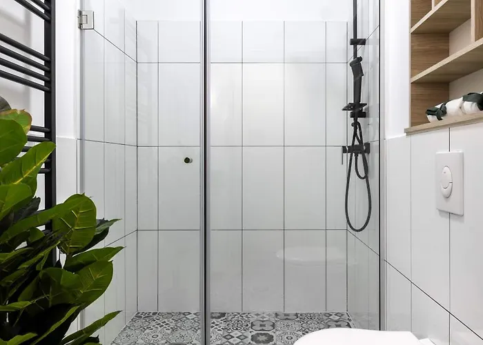 Holt - Breaking Dawn ブカレスト